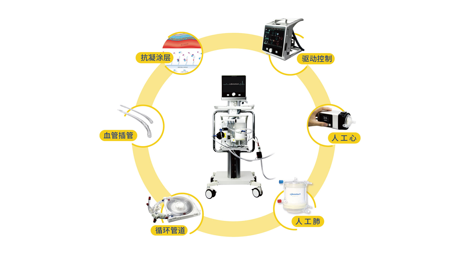 An illustration showing Lifemotion, an ECMO device certified to go into the Chinese market. /Chinabridge Medical Technology