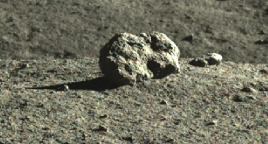 A rabbit-shaped rock taken by the Yutu-2 rover. /CLEP