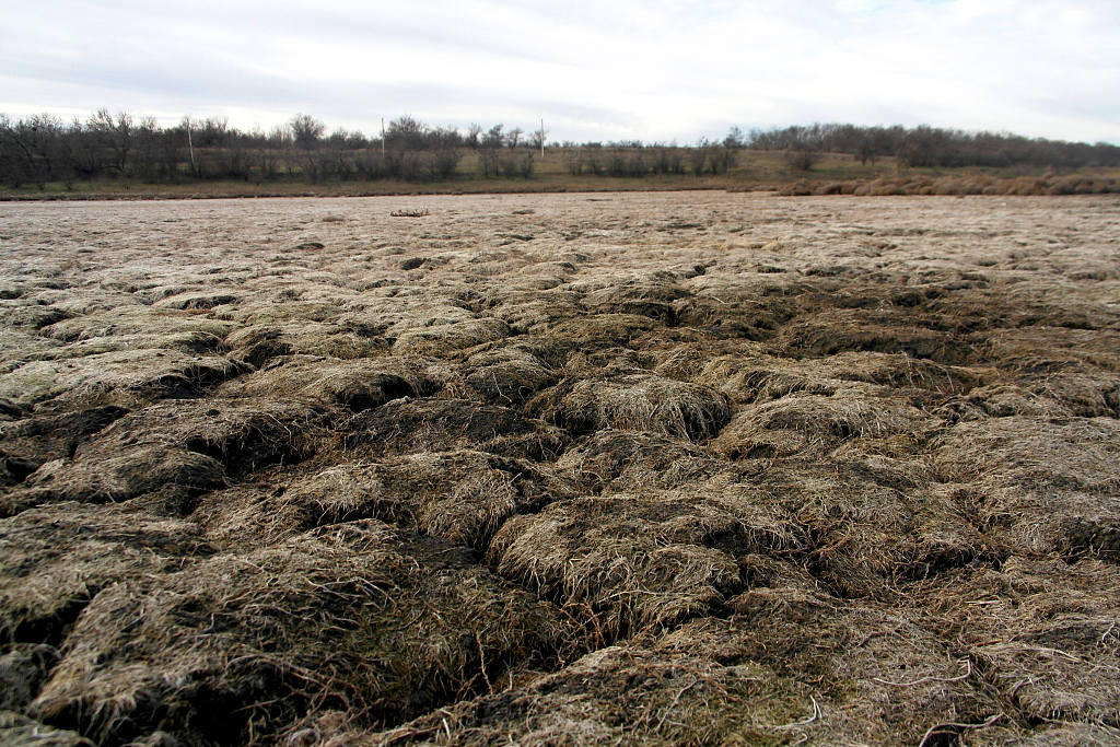 The mouth of the Baraboi River has completely dried up, Odesa region, southern Ukraine, December 26, 2022. /CFP