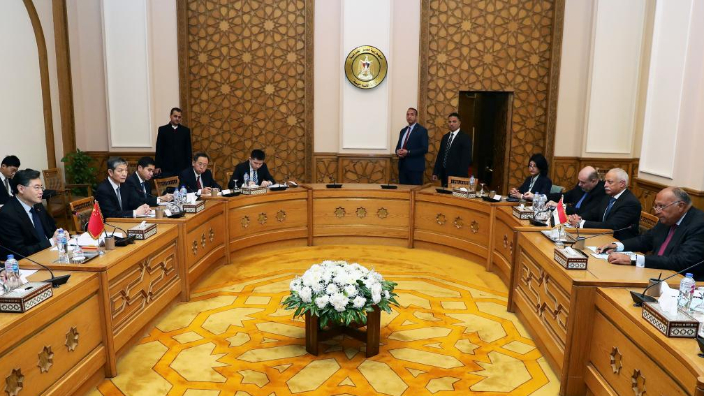 Chinese Foreign Minister Qin Gang (L) holds talks with Egyptian Foreign Minister Sameh Shoukry in Cairo, Egypt, January 15, 2023. /Xinhua