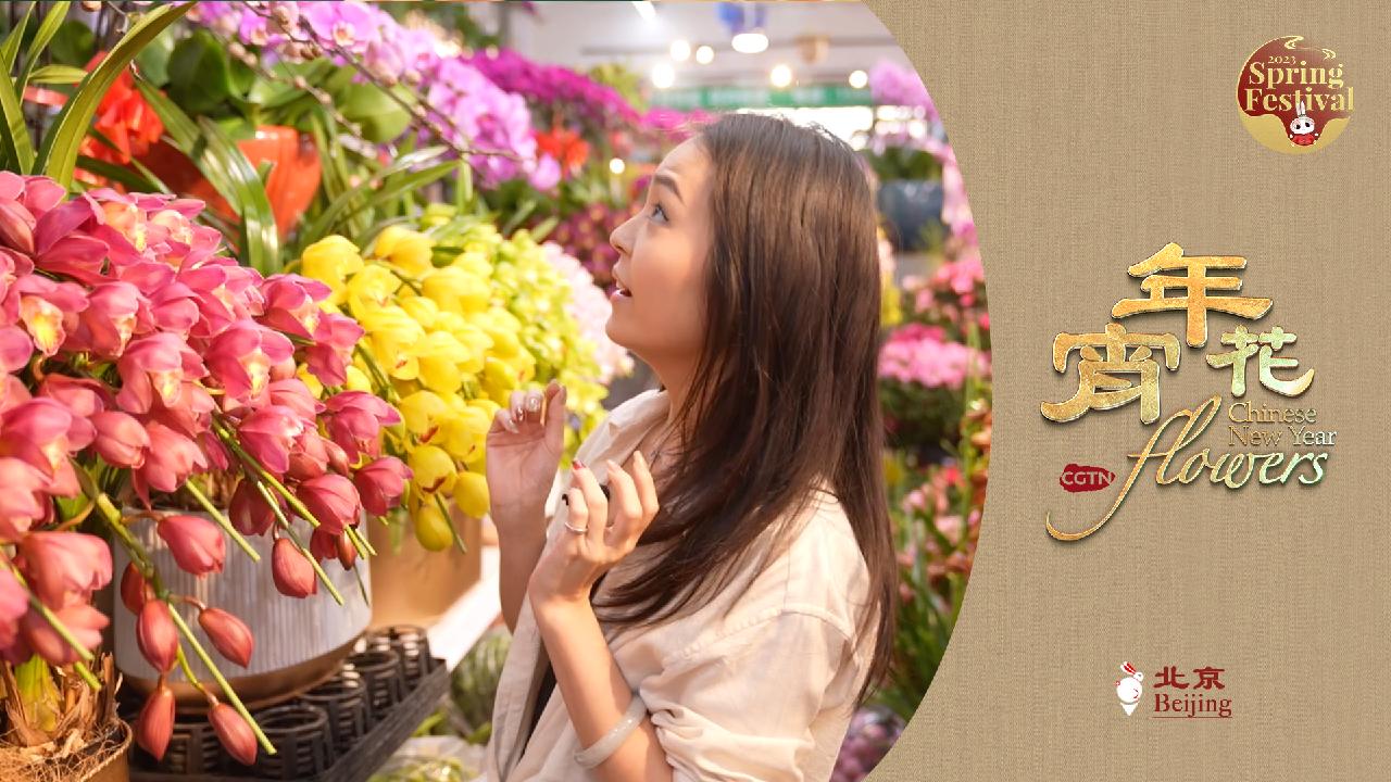 Chinese New Year Flowers Into Beijing CGTN