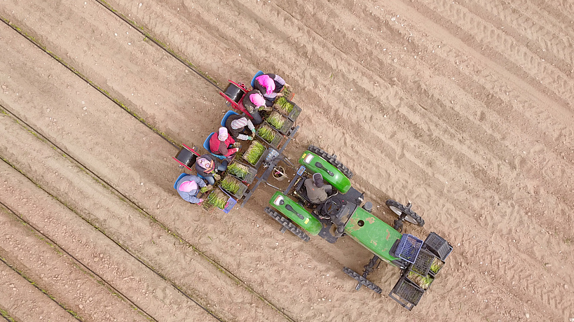 Farmers sow seeds in a village in Shizuishan City, northwest China's Ningxia Hui Autonomous Region, April 13, 2022. /CFP
