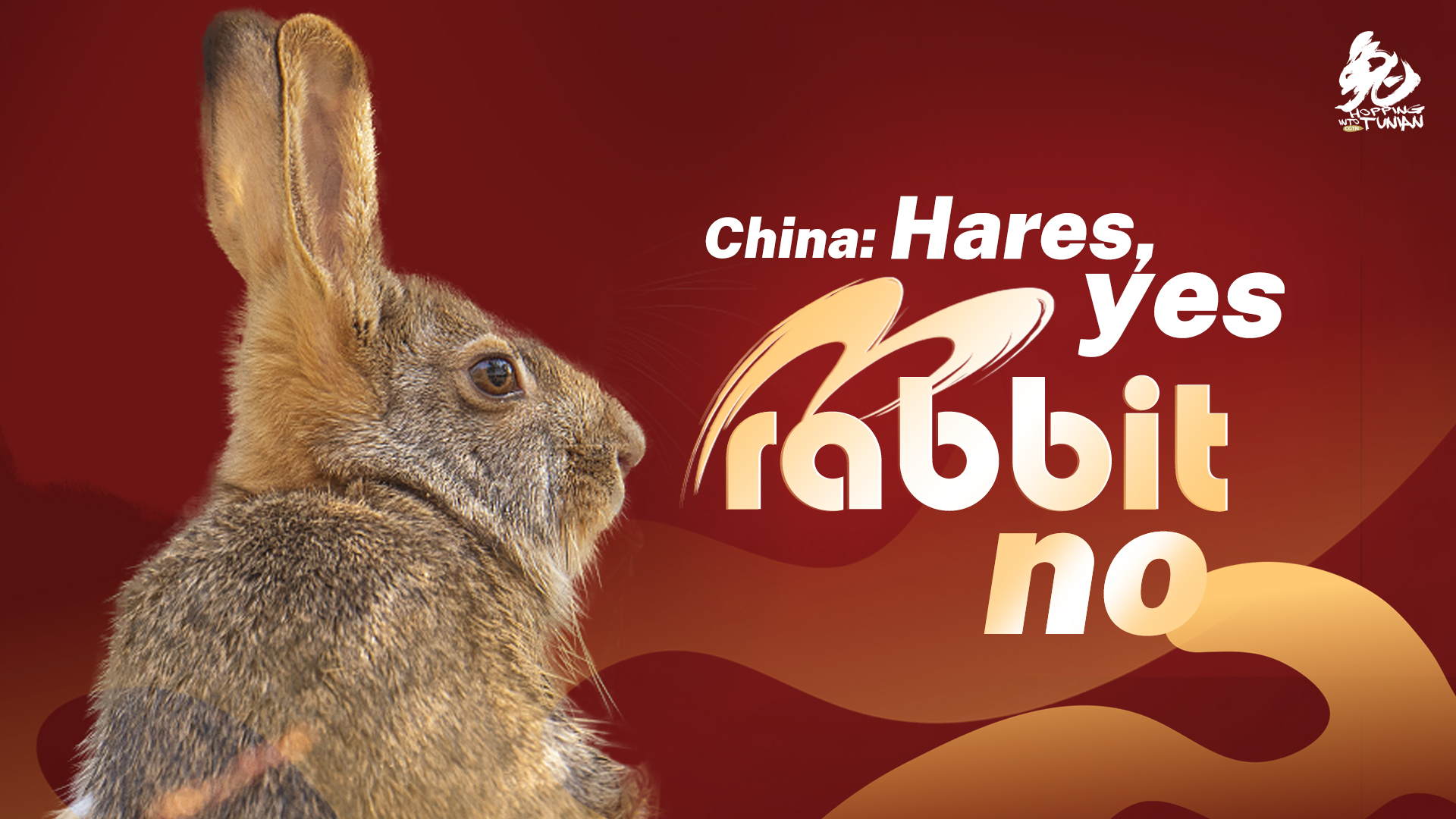 Hopping into Tunian: China: Hares, yes. Rabbits, no.