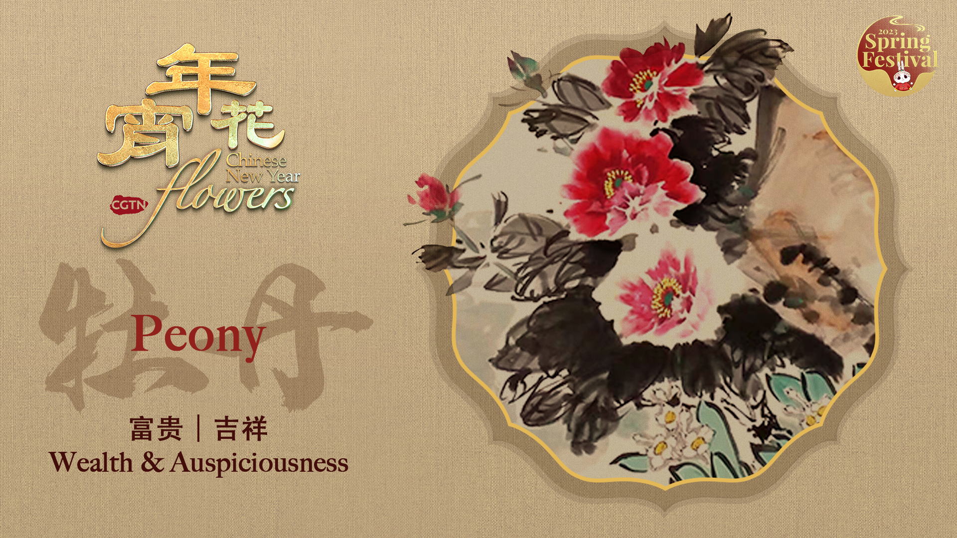 Chinese New Year Flowers: Peony