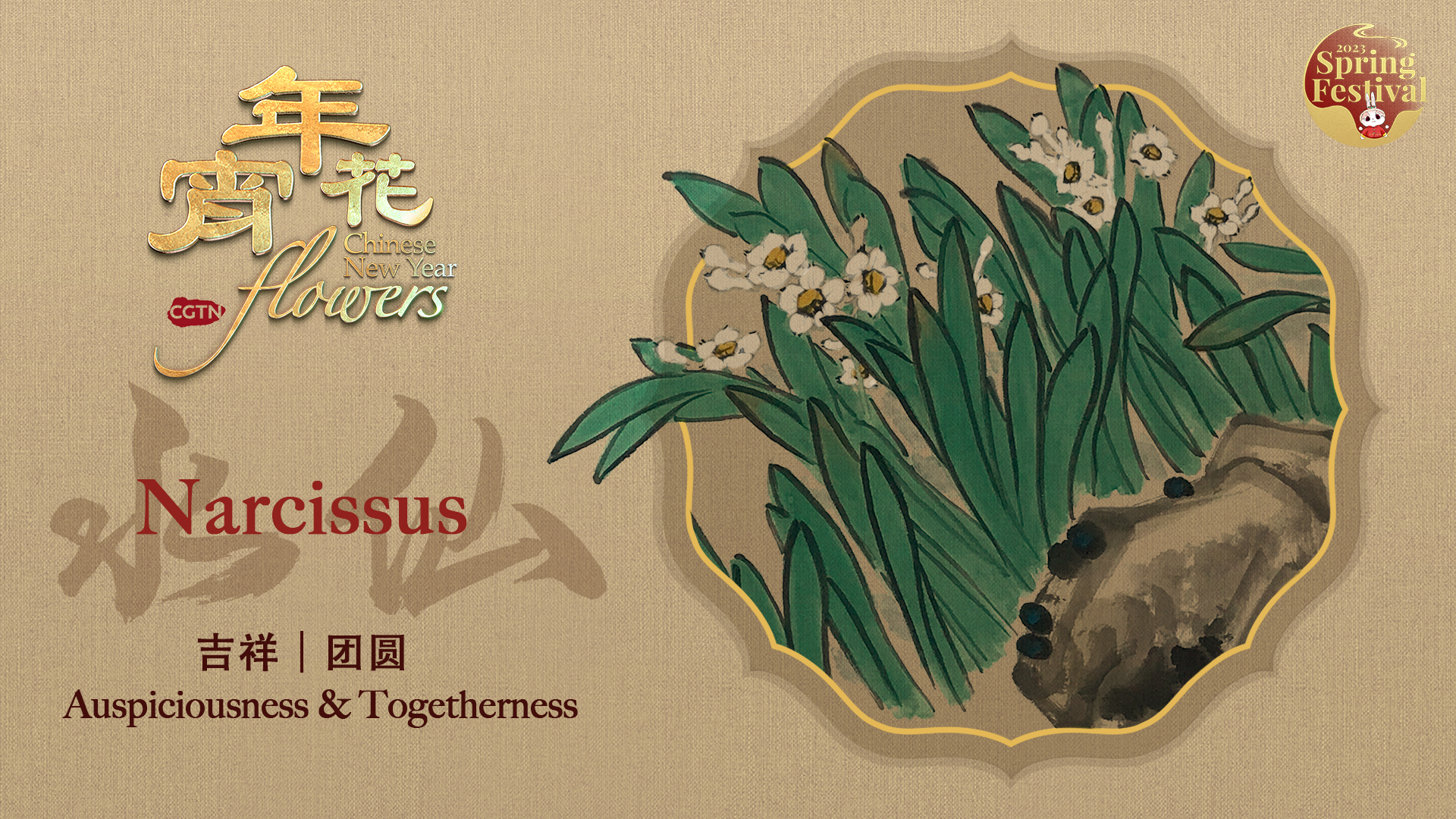 Chinese New Year Flowers: Narcissus