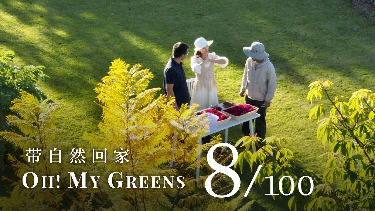 'Oh! My Greens' Ep. 8: Design and create a 30,000-sqm dream garden - CGTN