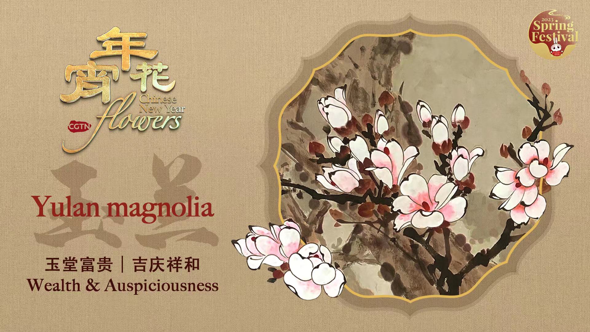 Chinese New Year Flowers: Yulan magnolia