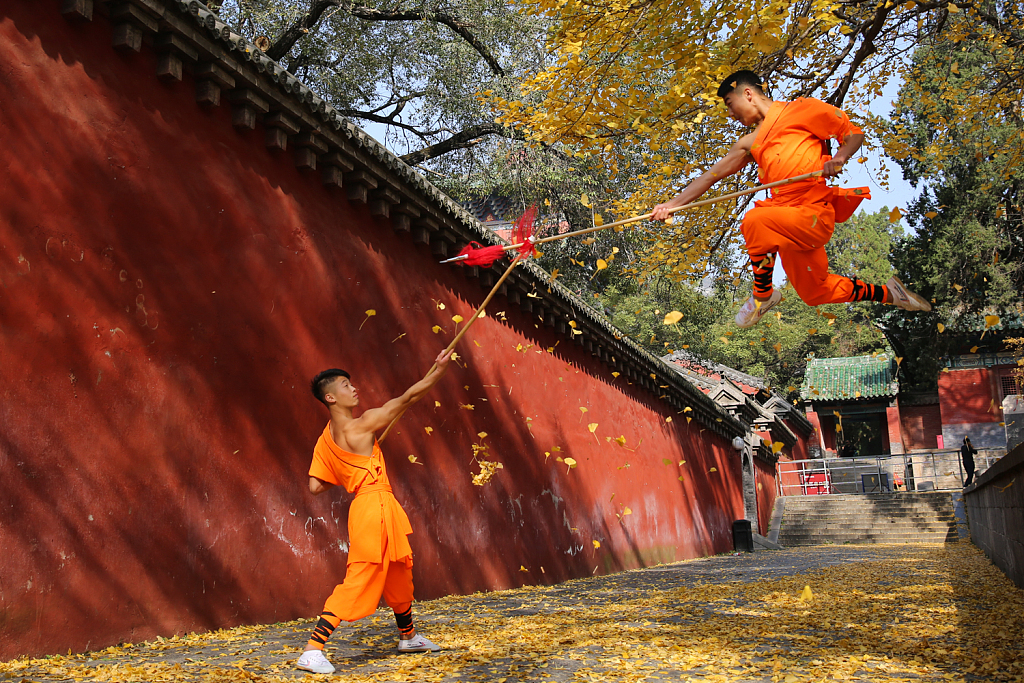 Two monks perform kung fu under a thousand-year-old ginkgo tree at the Shaolin Temple in Dengfeng County of central China's Henan Province. /CFP
