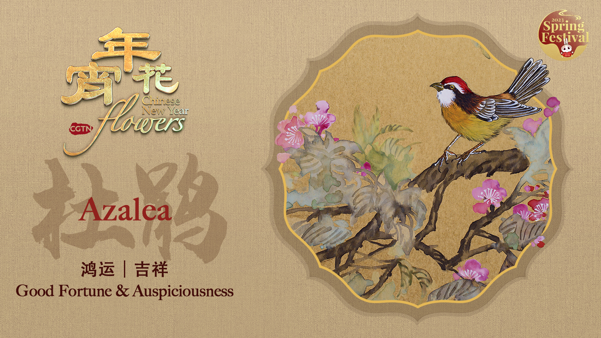 Chinese New Year Flowers: Azalea