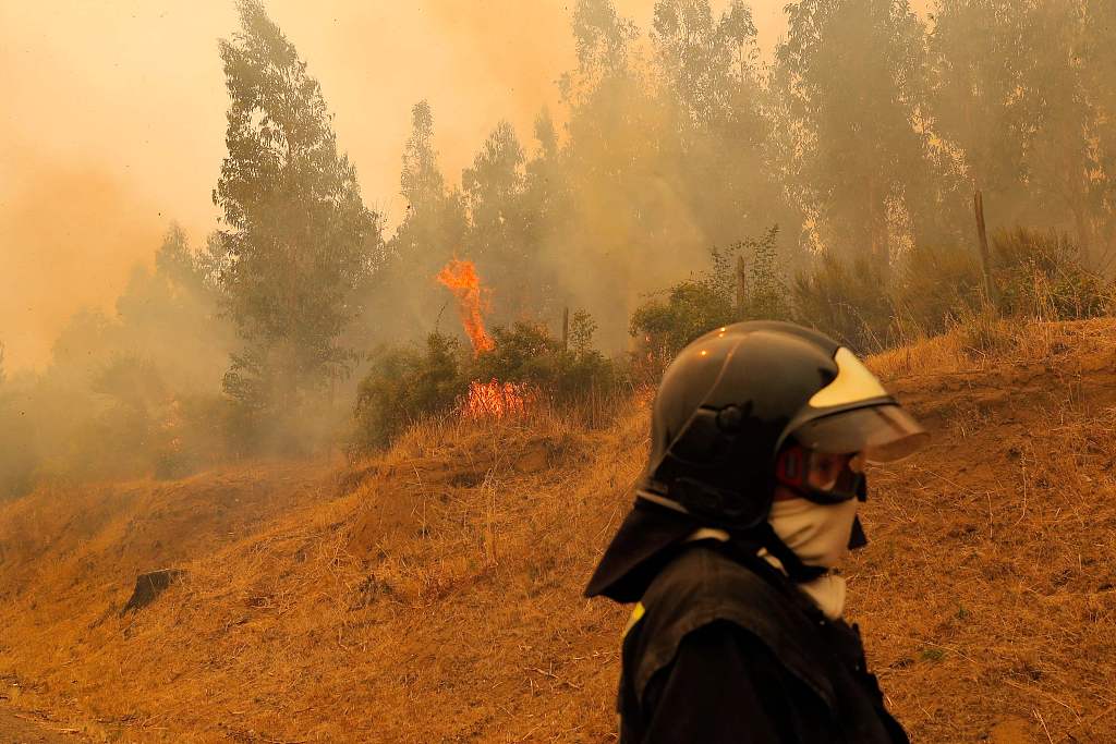 A fire in Nacimiento, Concepcion province, Chile, February 4, 2023. /CFP