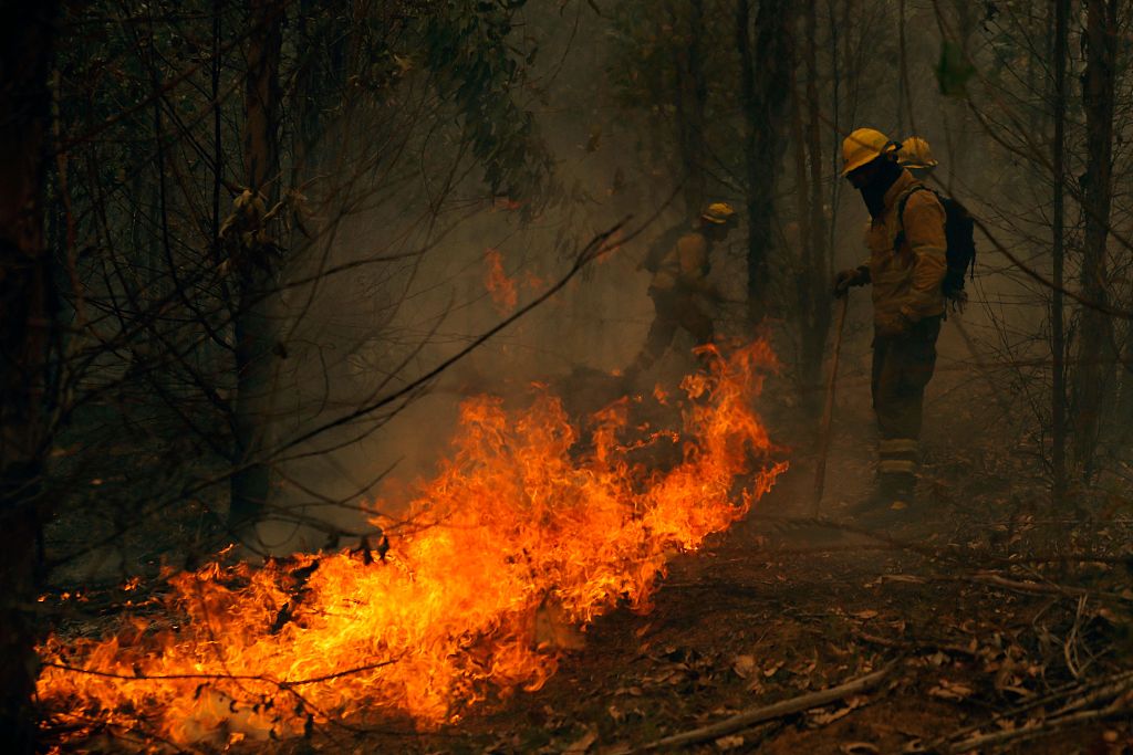 Brigade members of the National Forestry Corporation (CONAF) fight a fire in Nacimiento, Concepcion province, Chile, February 4, 2023. /CFP