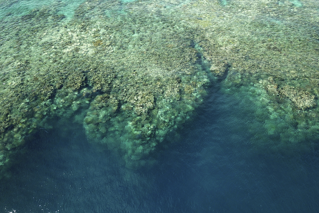 Corals on the Great Barrier Reef are visible below the waves above Moore Reef in Gunggandji Sea Country off the coast of Queensland in eastern Australia, November 14, 2022. /CFP