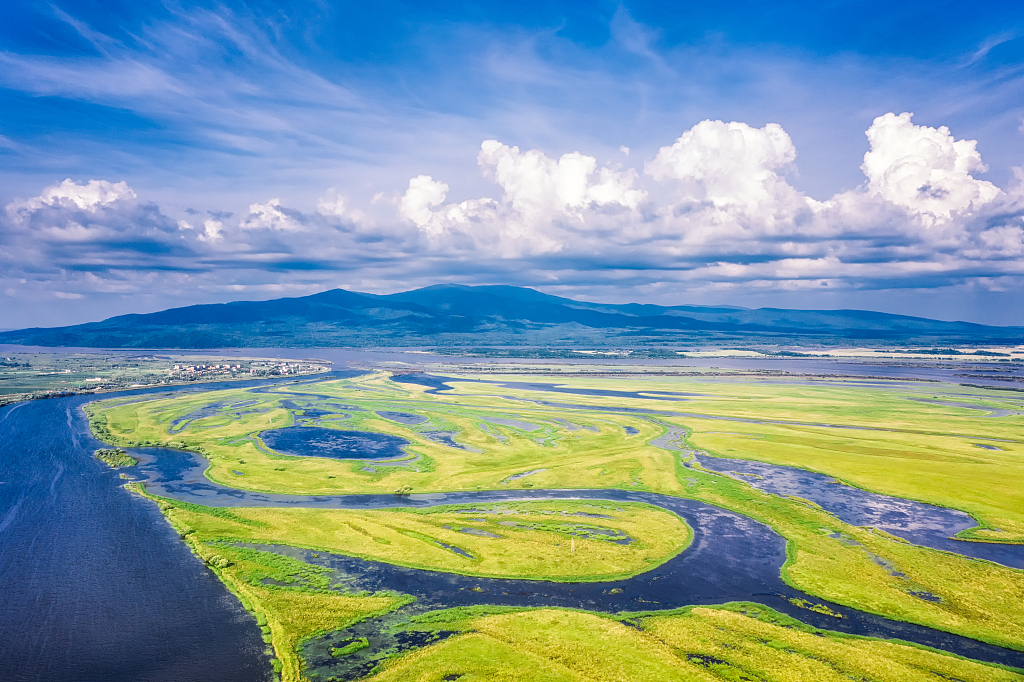 A wetland in Fuyuan City, north China's Heilongjiang Province. /CFP