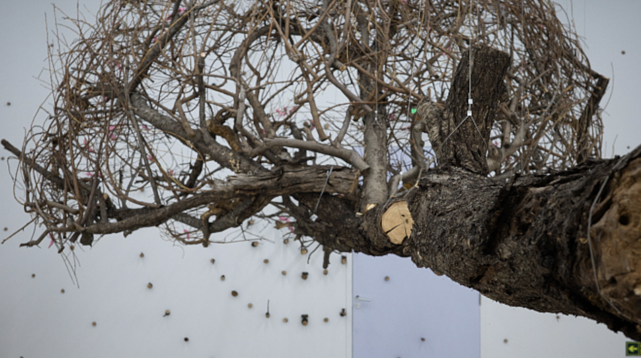 An installation created by artist Hou Zailun is on display at the Times Art Museum in Beijing. /CFP