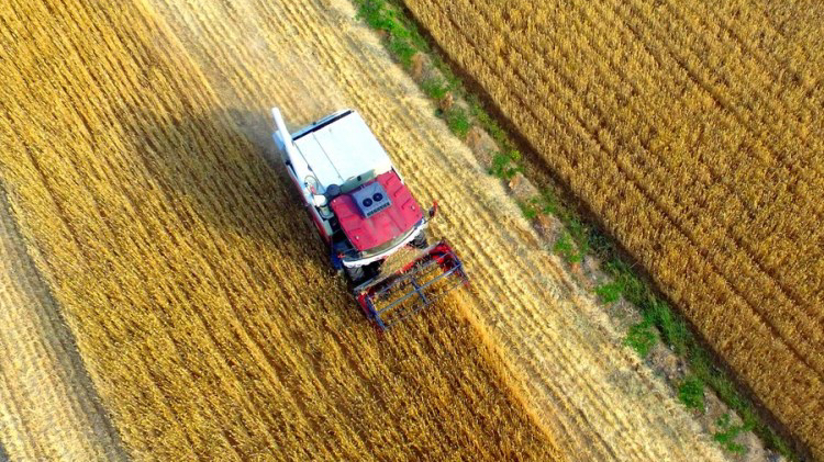 Farmers harvesting wheat in the fields in Xiapo Village of Linyi, east China's Shandong Province, May 24, 2022. /Xinhua