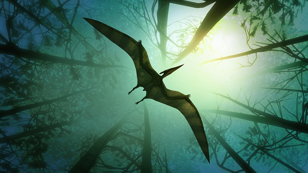 Chinese scientists reveal evolutionary history of pterosaurs