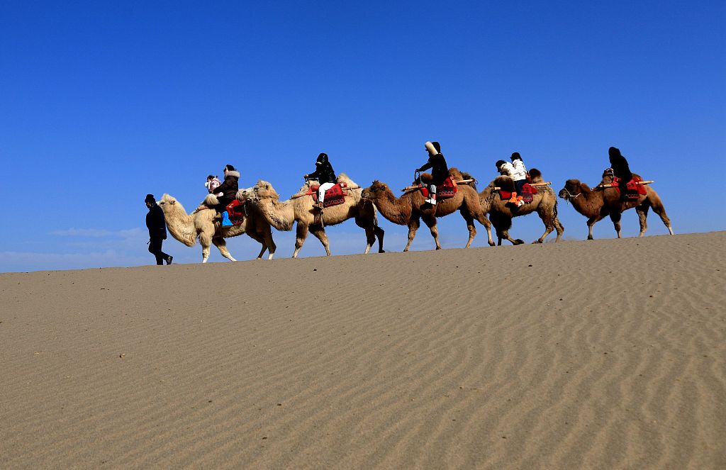 Tourists ride camels in the desert near Crescent Moon Spring in Dunhuang, Gansu. /CFP