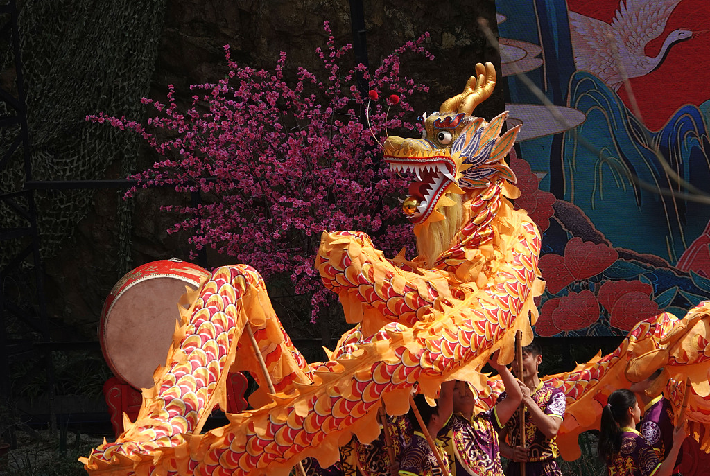 Dragon dancing to celebrate Chinese Dragon Head-raising Day in Naning City, south China's Guangxi Zhuang Autonomous Region, February 20, 2023. /CFP