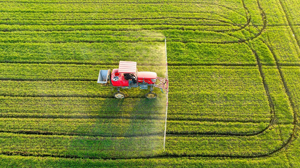 Spraying pesticide in a wheat field in Nantong City, east China's Jiangsu Province, February 19, 2023. /CFP