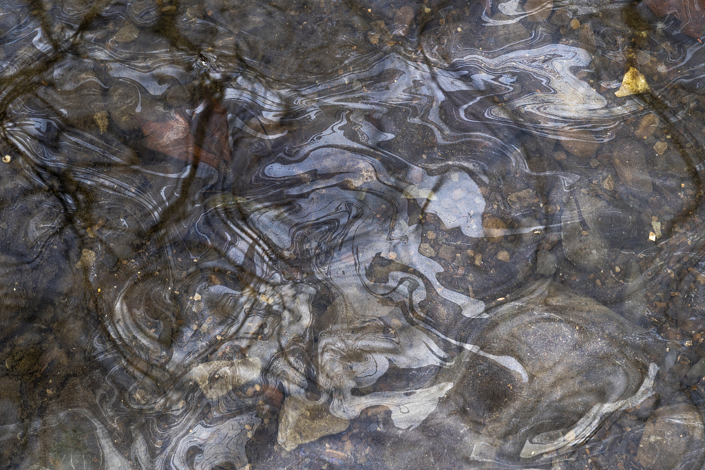 Petroleum based chemicals float on the top of the water in Leslie Run creek after being agitated from the sediment on the bottom of the creek on February 20, 2023 in East Palestine, Ohio. /CFP
