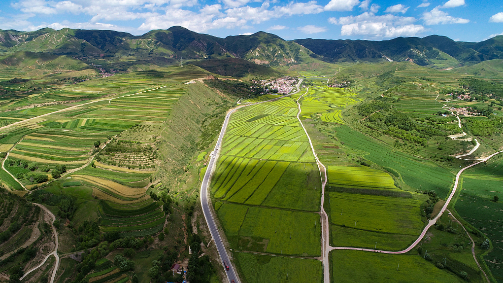 Plantations on rugged terrains in Xihaigu Prefecture, northwest China's Ningxia Hui Autonomous Region, July 29, 2021. /CFP
