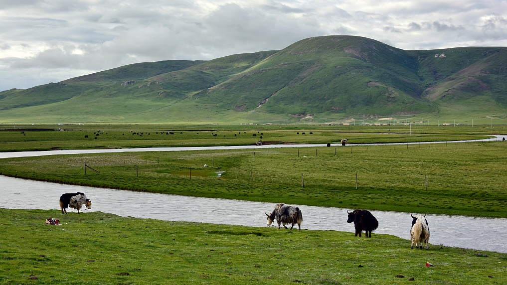 Scenery of the Sanjiangyuan National Park in northwest China's Qinghai Province, July 24, 2020. /CFP