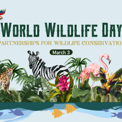 World Wildlife Day: Be the change wild animals need