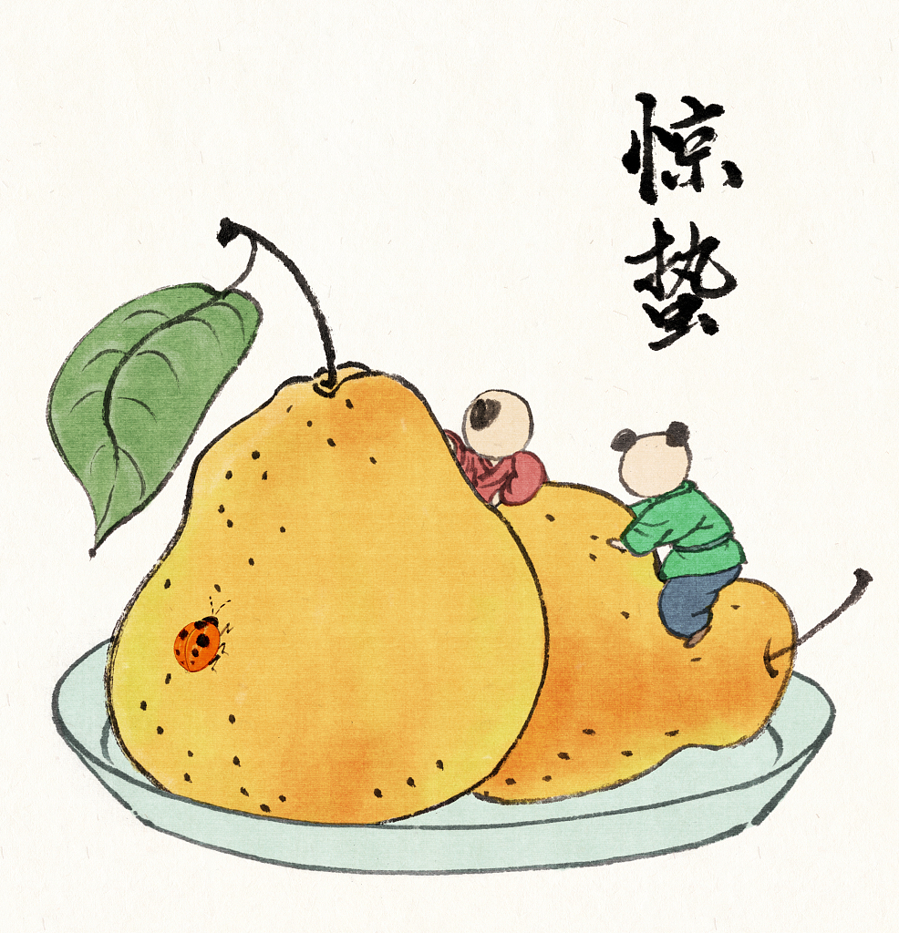 One of the most popular customs during Jingzhe is eating pears. /CFP