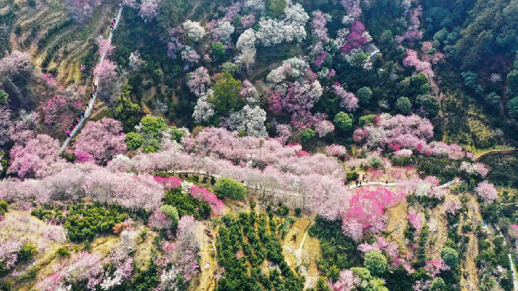 Why China is crucial for the harmony of humanity and nature - CGTN