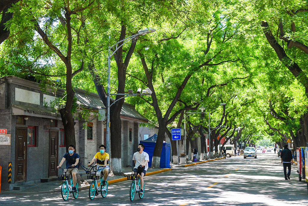 Nanchizi Street beside Beijing's Palace Museum is shaded by Chinese scholar trees in summer. /CFP
