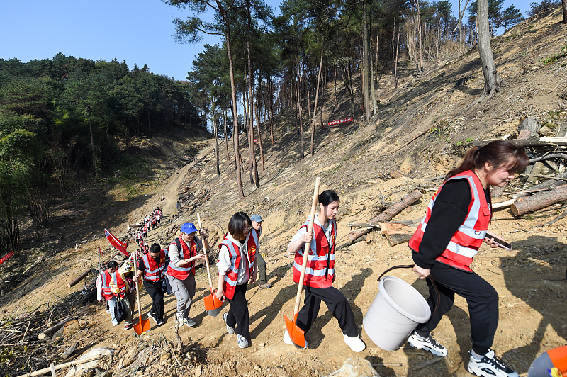 Volunteers take part in a tree-planting event in southwest China's Chongqing Municipality. /CFP