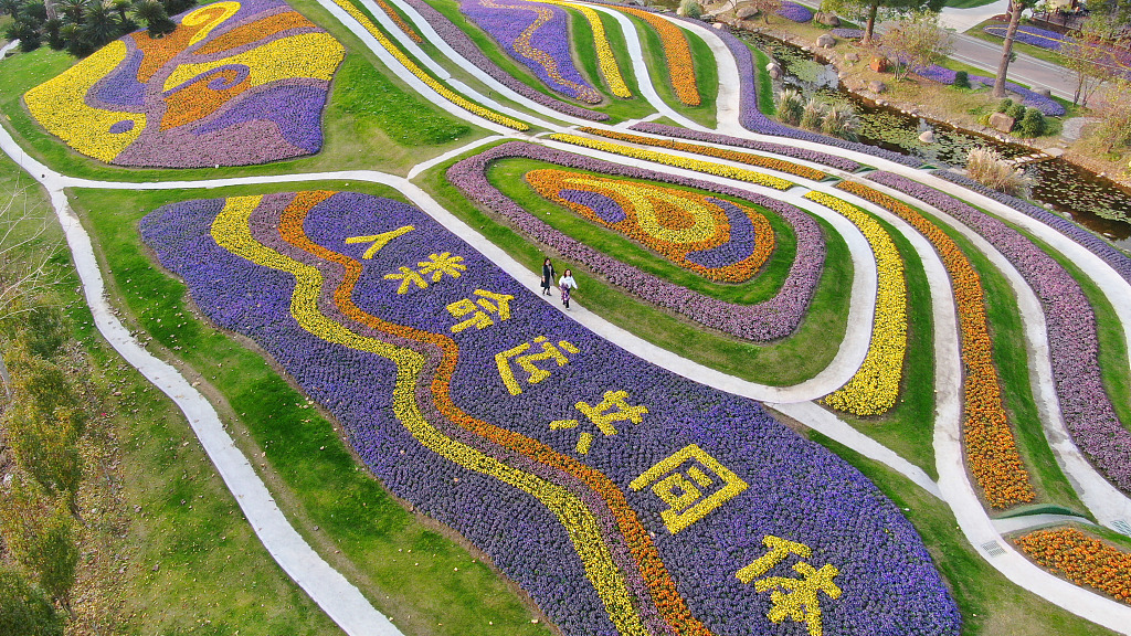 A view of the Zhouji Green Expo Garden in Nantong City, east China's Jiangsu Province, November 25, 2022. /CFP