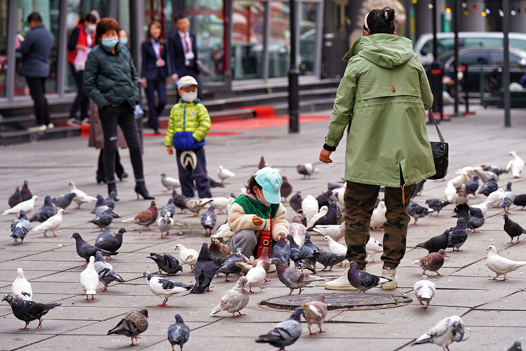 Feeding the pigeons on Central Street is a popular attraction for young visitors. /CFP