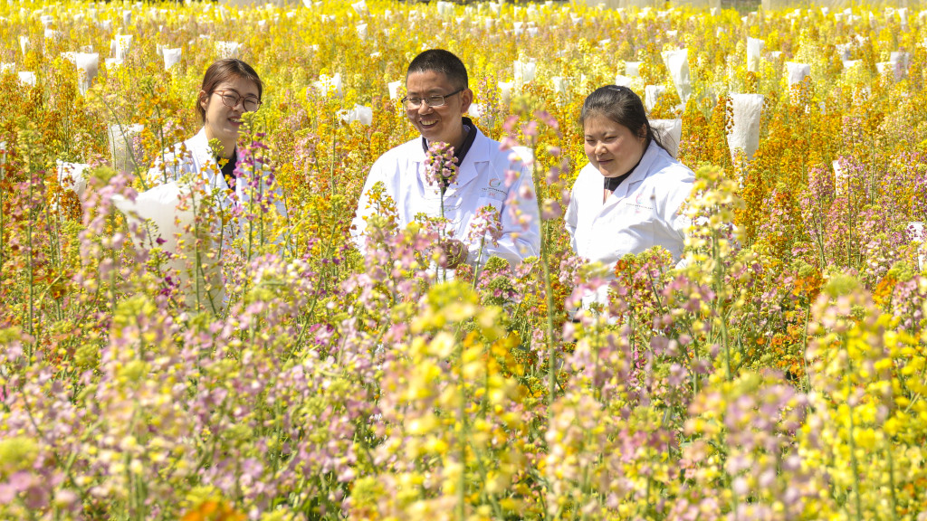 Fu Donghui and his students are in a field of rapeseed flowers. /CFP