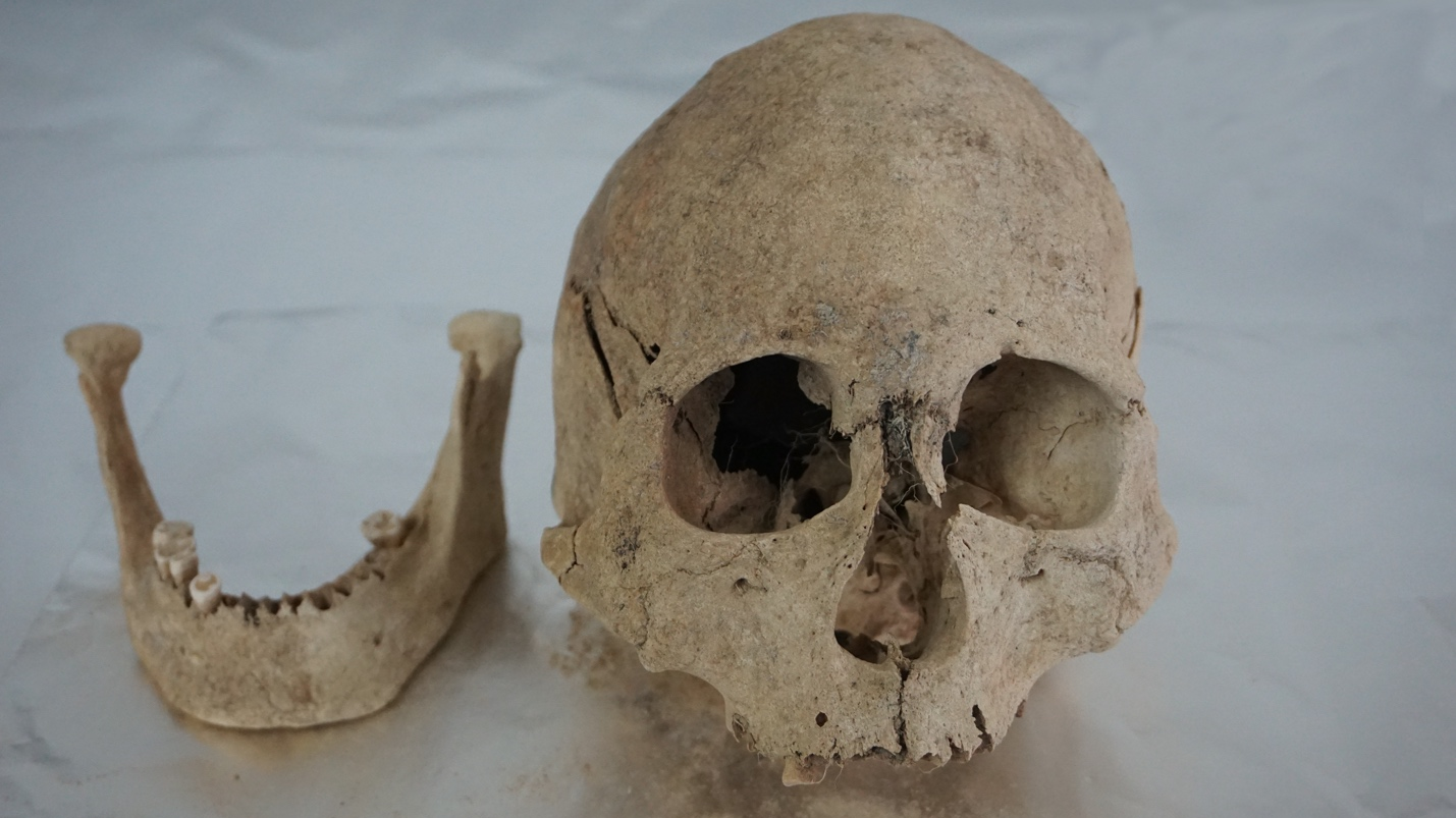 A skull and a jawbone dating back to 4,500 years ago unearthed from the Zongri site in the Gonghe Basin of Northwest China's Qinghai Province on the Qinghai-Tibet Plateau. /China Media Group