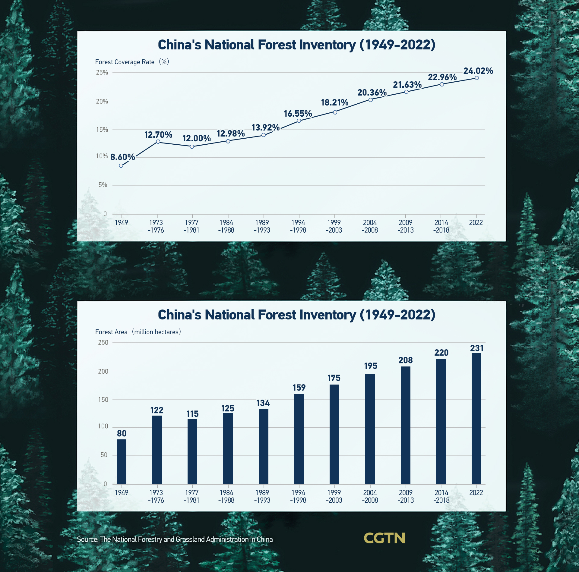 China's National Forestry Inventory (1949-2022). /CGTN
