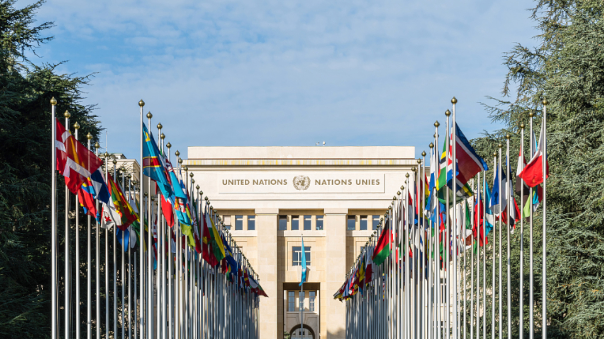 Forum speakers urge respect for diversified approaches to democracy