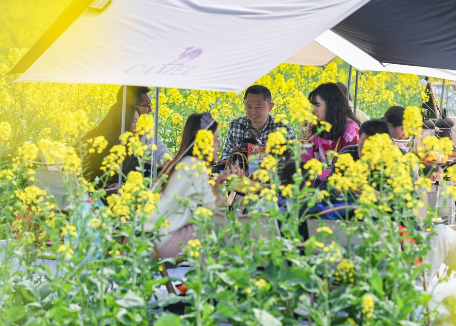 Tourists rest in a cole flower field in Daoming Town of Chongzhou, southwest China's Sichuan Province, March 5, 2023. /Xinhua
