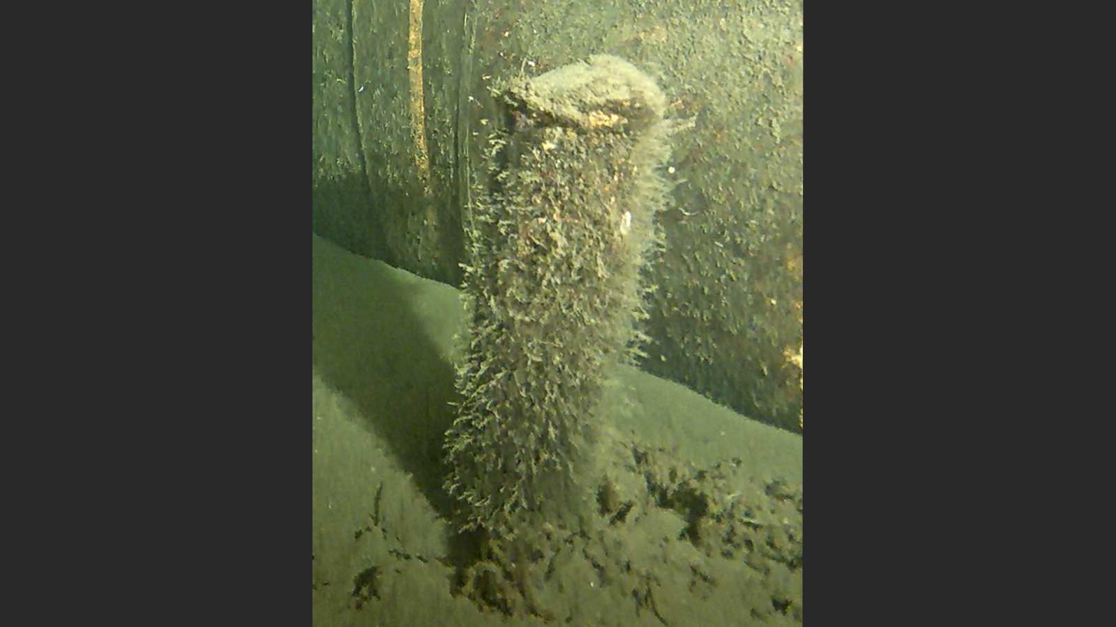 An unidentified object found close to the only remaining intact gas pipeline under the Baltic Sea, in this undated handout image released by the Danish Energy Agency and Danish Ministry of Defense on March 24, 2023. /CFP