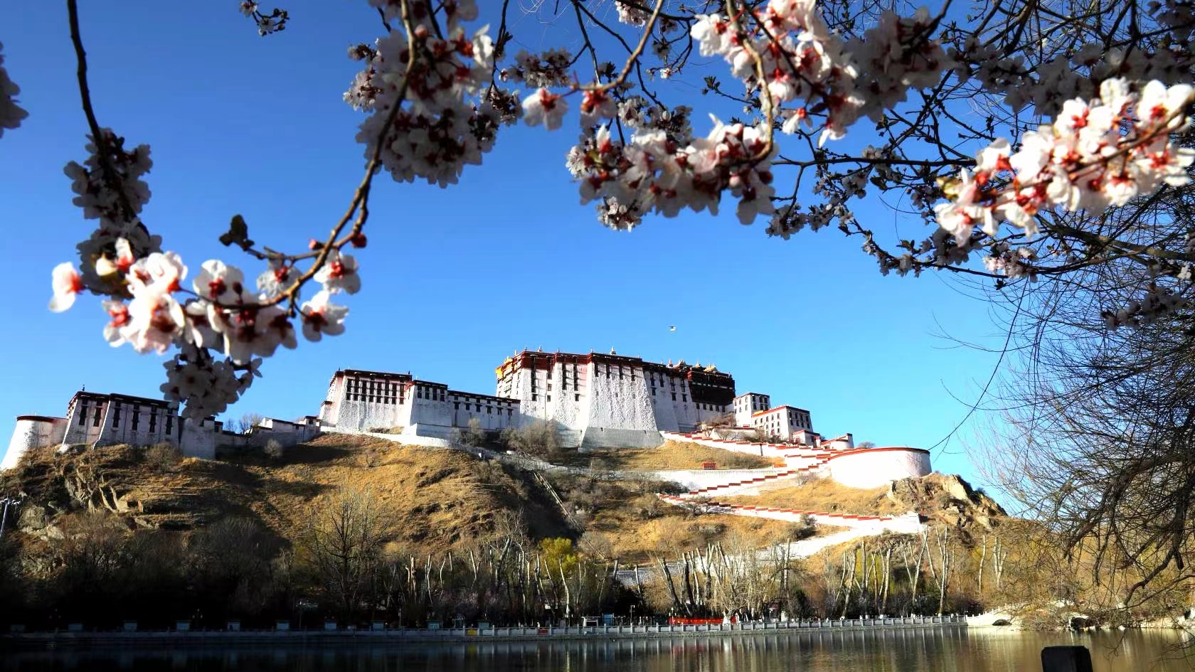 Live: Visit memorial hall marking emancipation of over one million serfs in Lhasa