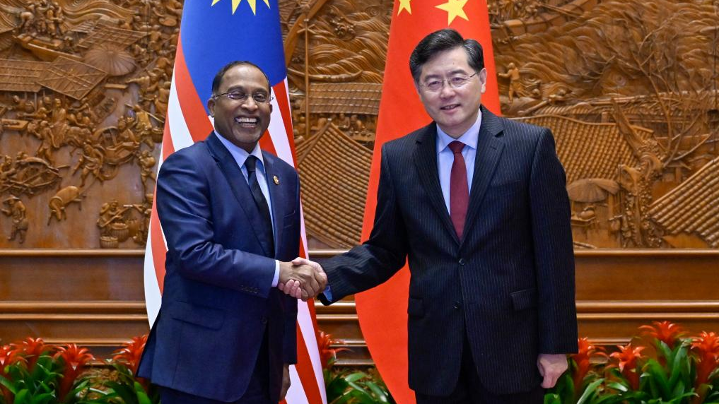 Chinese FM holds talks with Malaysian counterpart