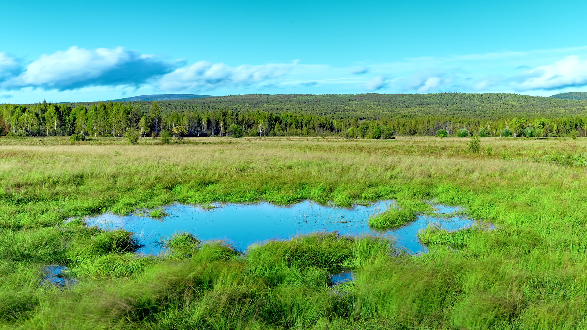 Hanma Series | Episode 3: The interdependence