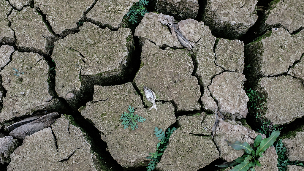 A dry river in southern China. /CFP