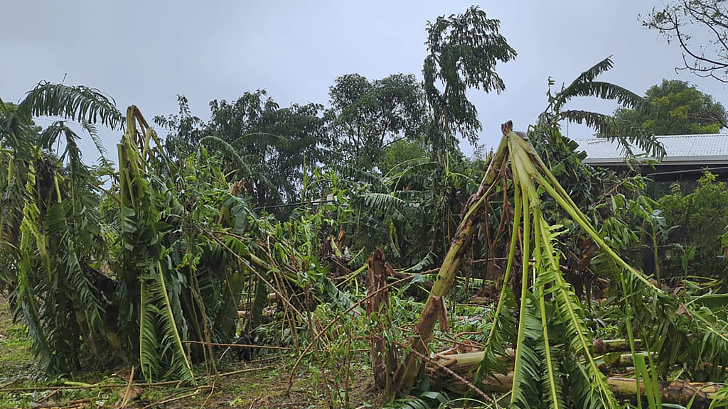Trees were destroyed by a cyclone ripping through Port Villa, the capital of Vanuatu, March 1, 2023. /CFP. 