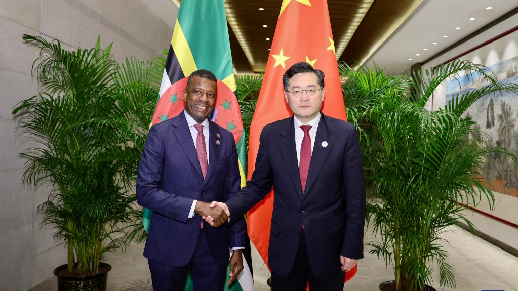 Chinese State Councilor and Foreign Minister Qin Gang (R) meets with his Dominican counterpart Vince Henderson in Boao, south China's Hainan Province, March 30, 2023. /Xinhua