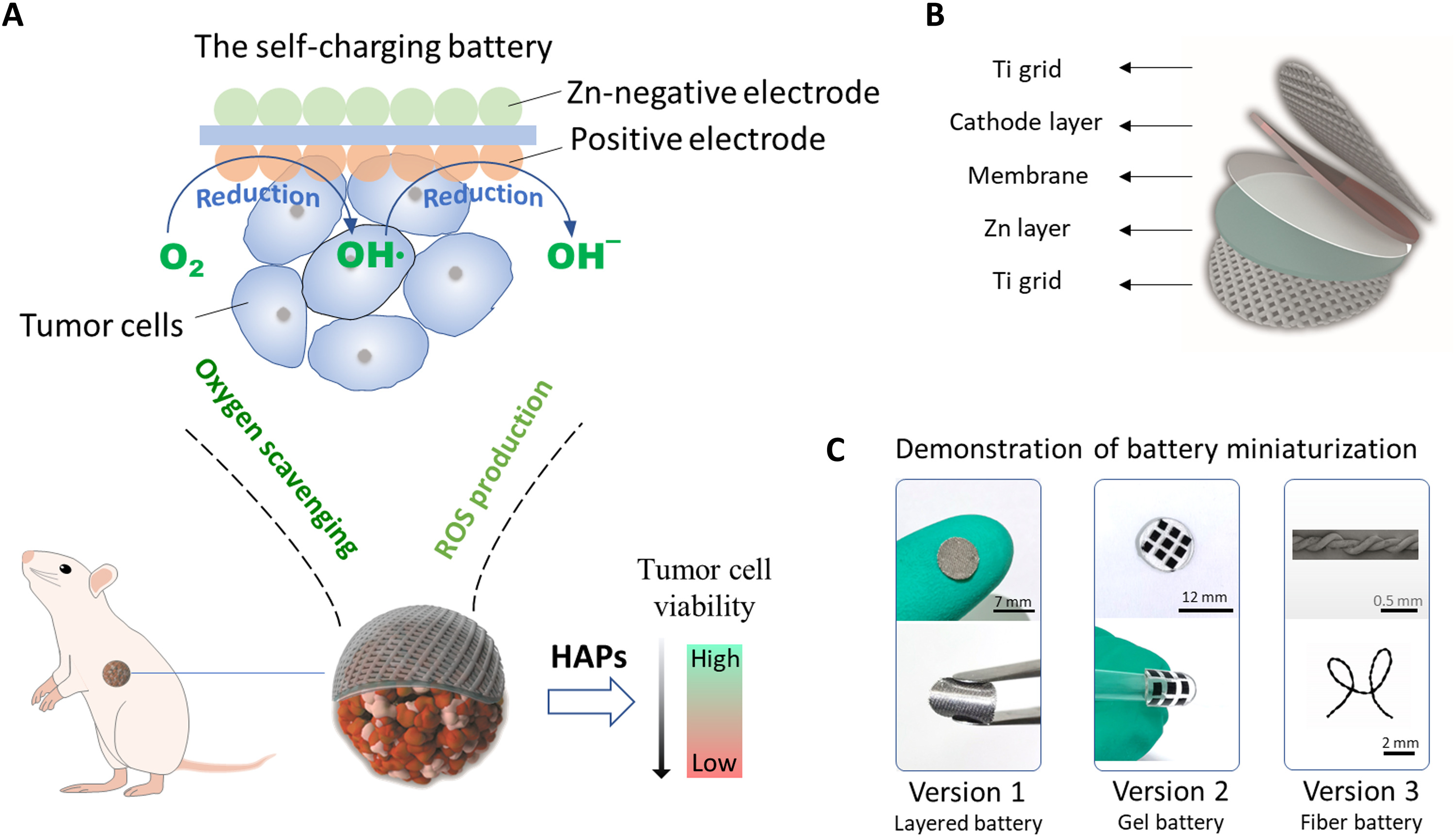 The rationale of the self-charging battery for tumor therapy from the study published in the journal Science Advances. /Website of Science Advances