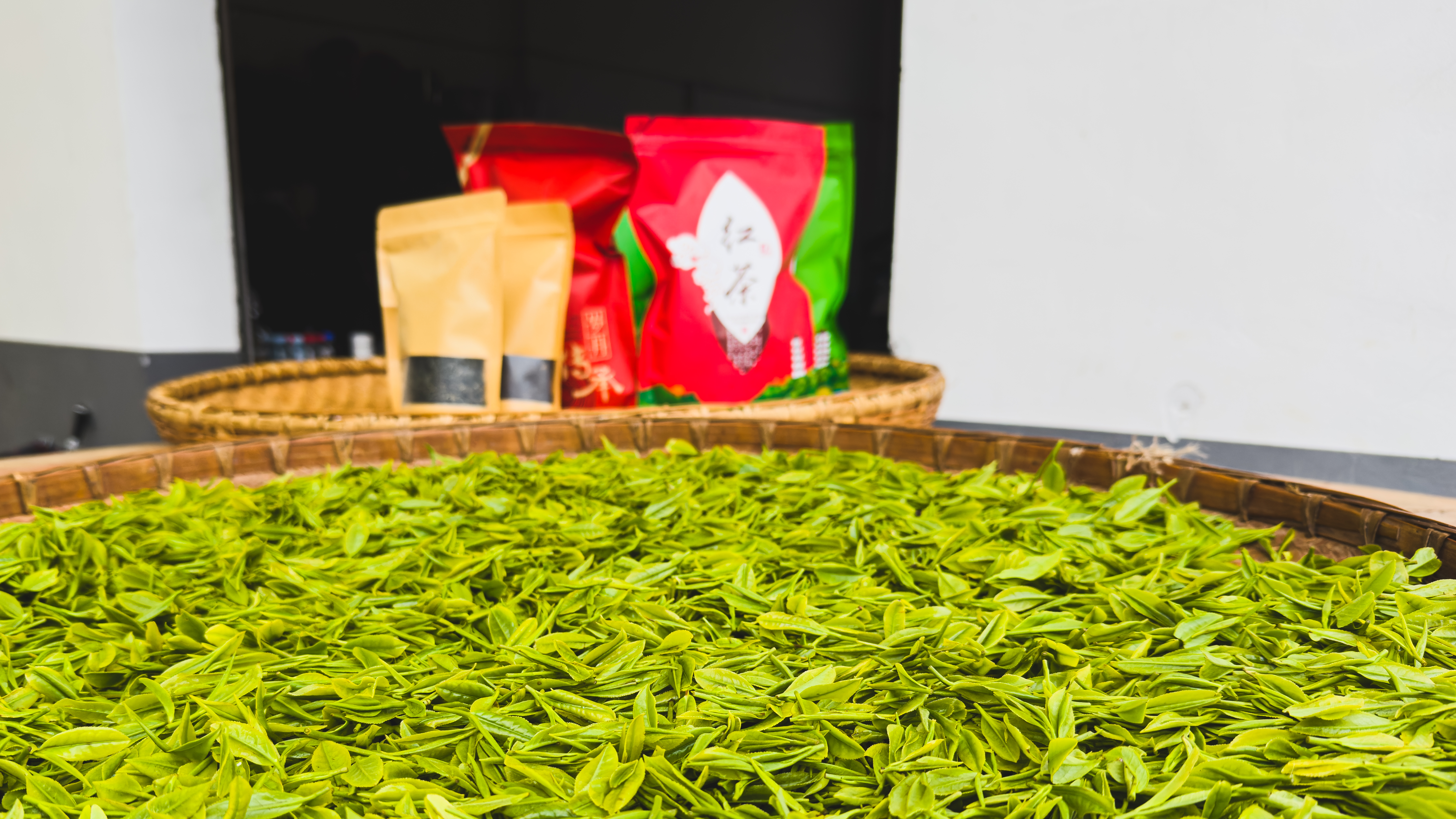 Tea industry in Jiangxi Province's Fuliang County crucial for local rural revitalization 