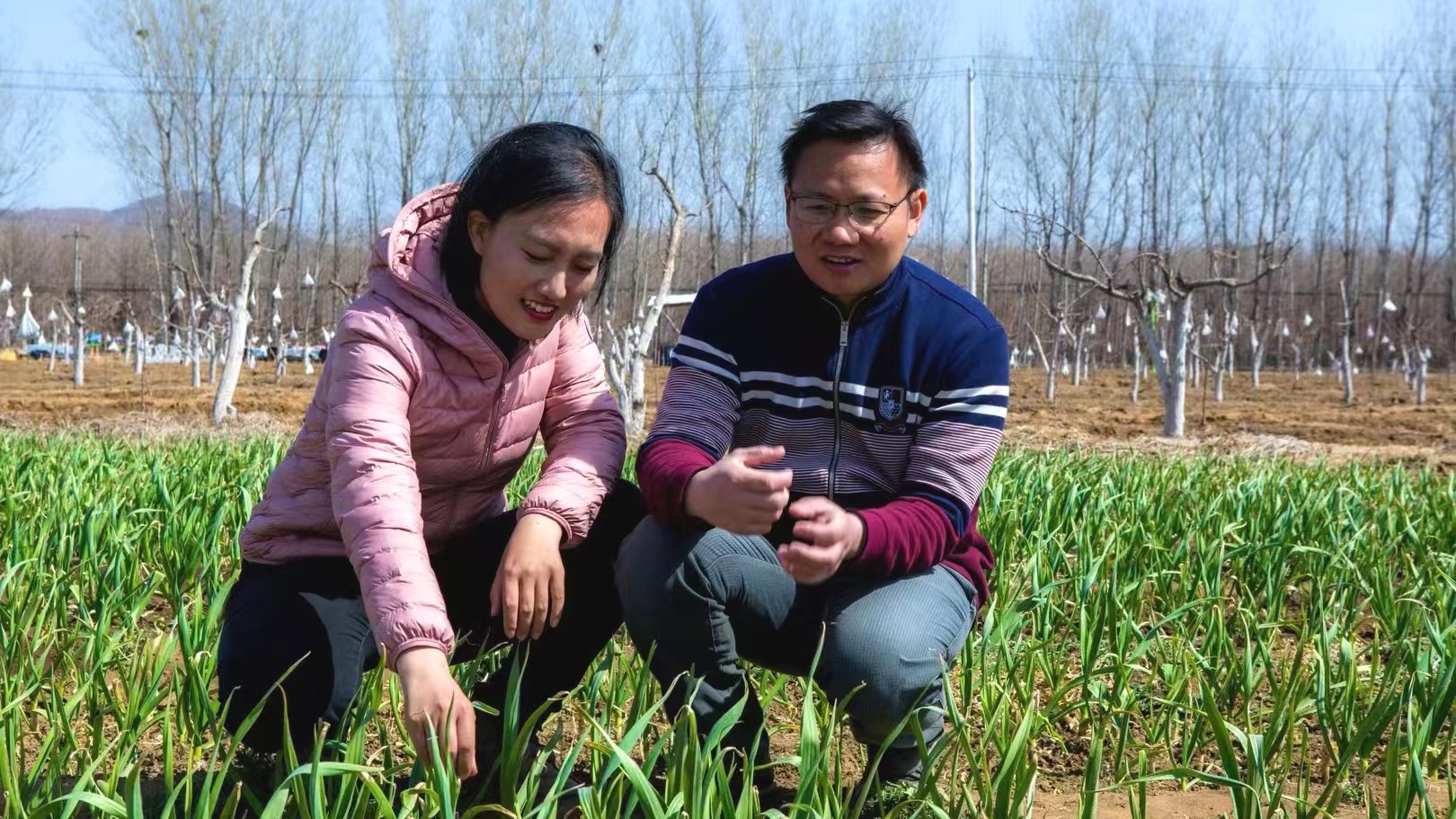 Shi Yan and her husband Cheng Cunwang at the Shared Harvest farm in Liuzhuanghu village, Shunyi District, Beijing, China, March 30, 2023. Both Shi and Cheng hold doctoral degrees in agriculture and promote ecological agriculture in China. /Alumni Association of Renmin University of China