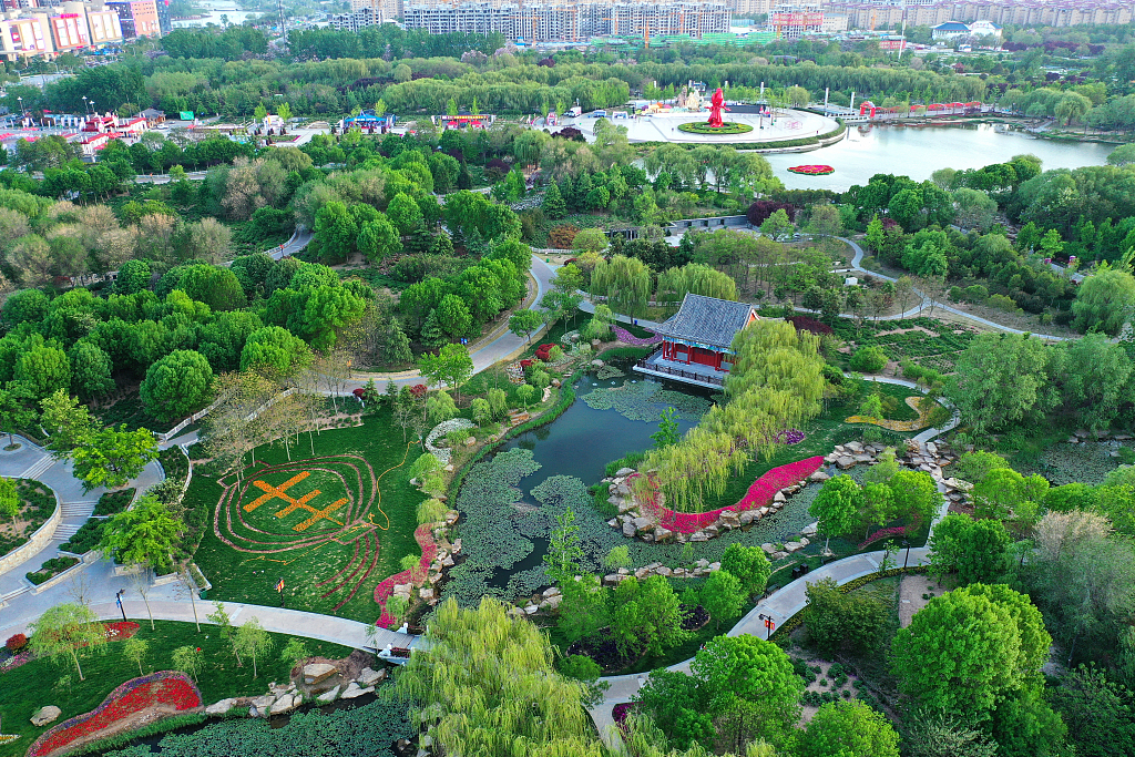 An ariel view of a peony garden in Heze, Shandong /CFP