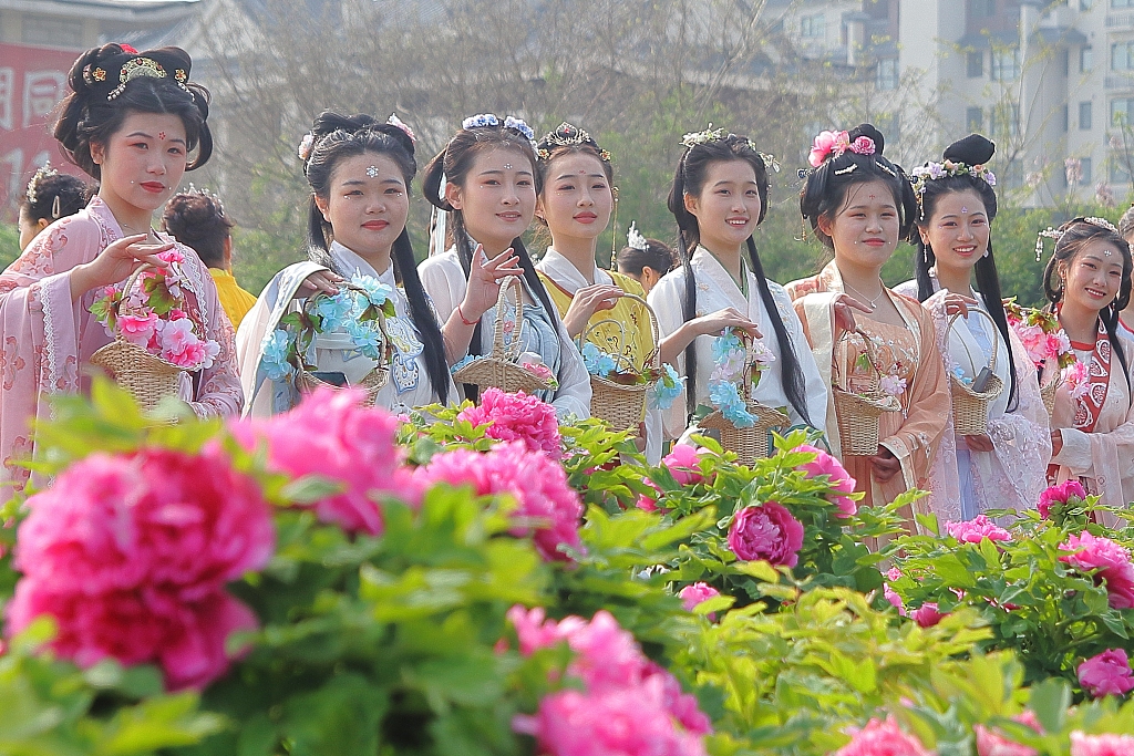 Tourists sporting traditional Chinese clothing, or Hanfu, take photos next to some peony flowers in Heze, Shandong, on April 6, 2023. /CFP